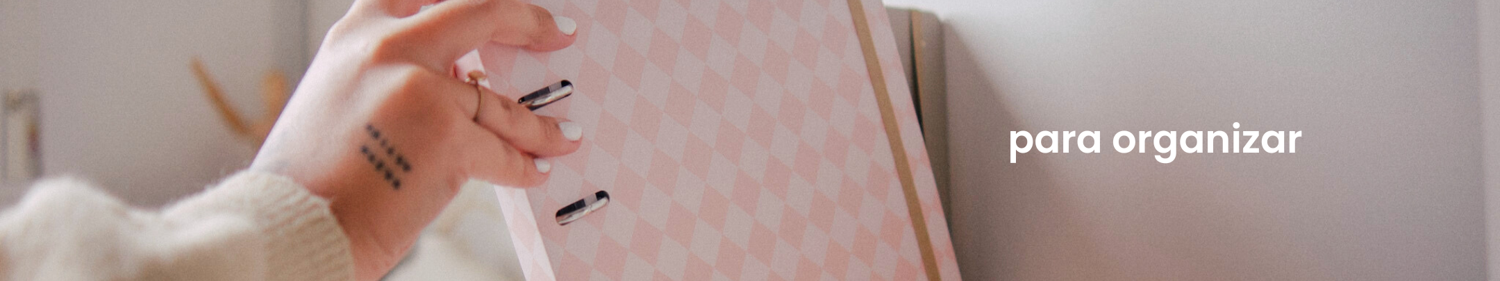 Banner da Coleção